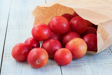 Similar image 13191330