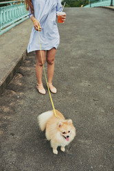 Similar image 13193381