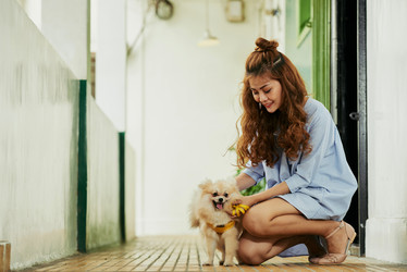 Similar image 13193391