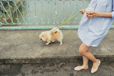 Similar image 13193397