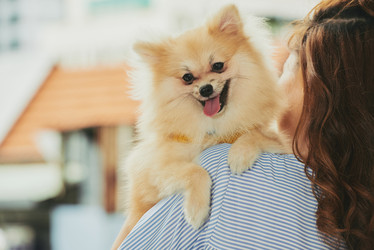 Similar image 13193405