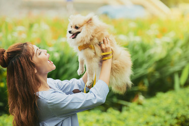 Similar image 13193411