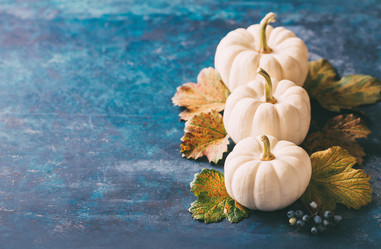 Similar image 13191485