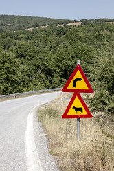 Similar image 13230234