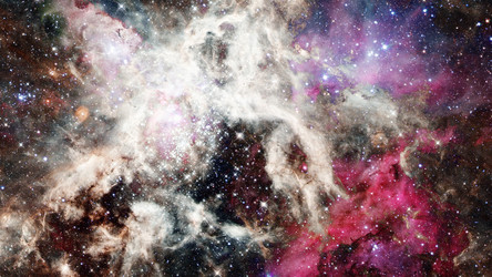 Similar image 13198009