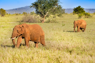 Similar image 13200211