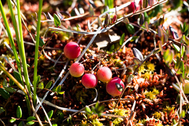 Similar image 13192351