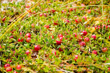 Similar image 13192353