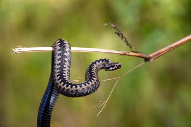 Similar image 13192356