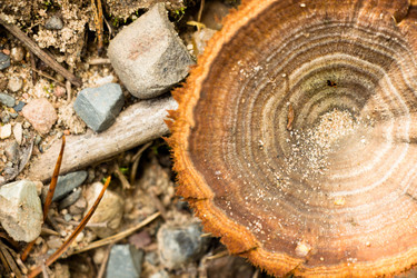 Similar image 13192359