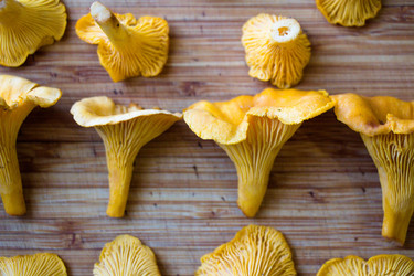 Similar image 13192360