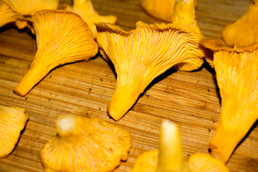 Similar image 13192361