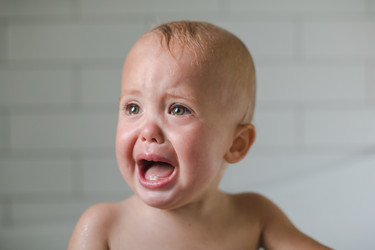 Similar image 13192362