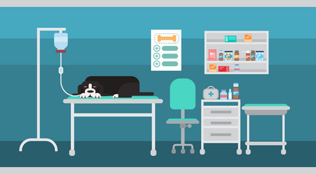 Similar image 13203255