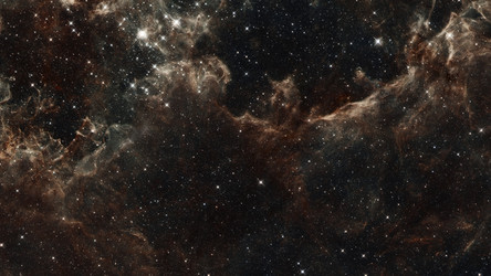 Similar image 13198093