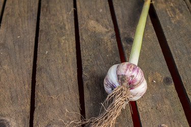 Similar image 13192946