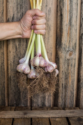 Similar image 13192957