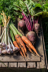 Similar image 13192959