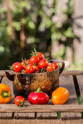 Similar image 13192961