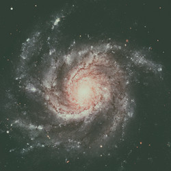 Similar image 13197749