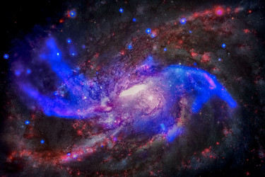 Similar image 13197753