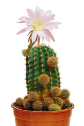 Similar image 13193507