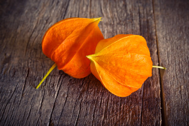 Similar image 13192818