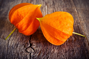 Similar image 13192820