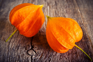 Similar image 13192821