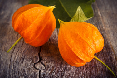 Similar image 13192833