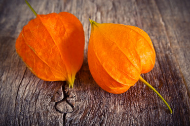 Similar image 13192834