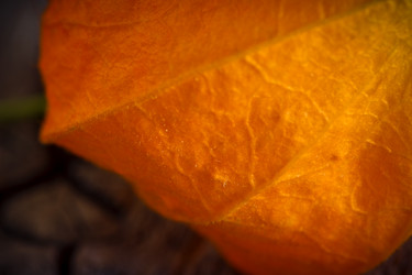 Similar image 13192835