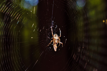 Similar image 13192291