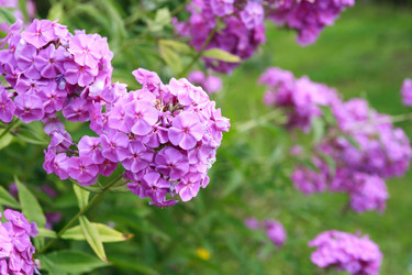 Similar image 13192327