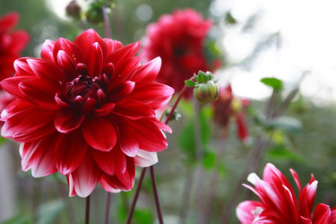 Similar image 13192328