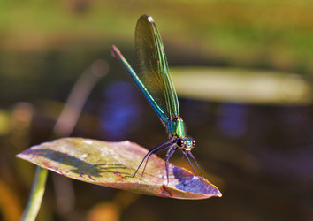 Similar image 13193097