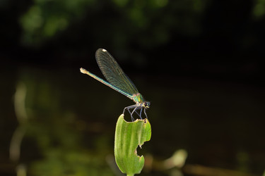 Similar image 13193098