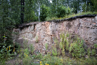 Similar image 13226121