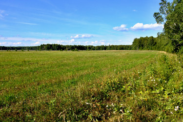 Similar image 13232078