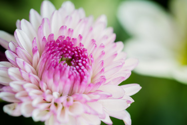 Similar image 13193053