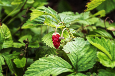 Similar image 13192380