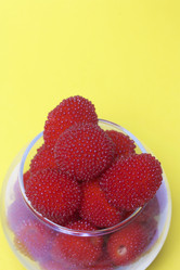 Similar image 13195815