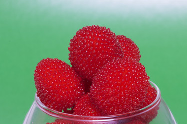 Similar image 13195817