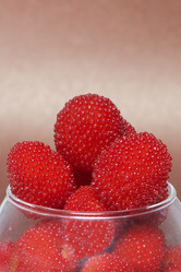 Similar image 13195819