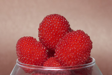 Similar image 13195820