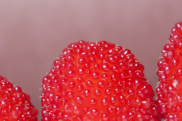 Similar image 13195821