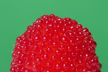 Similar image 13195826