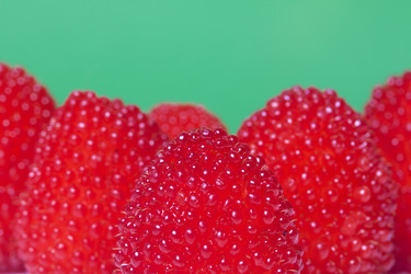 Similar image 13195828