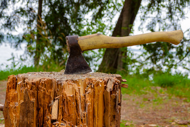 Similar image 13192312