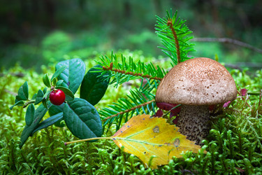 Similar image 13192314